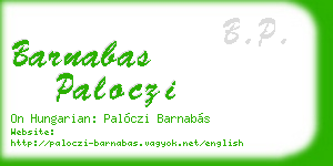 barnabas paloczi business card